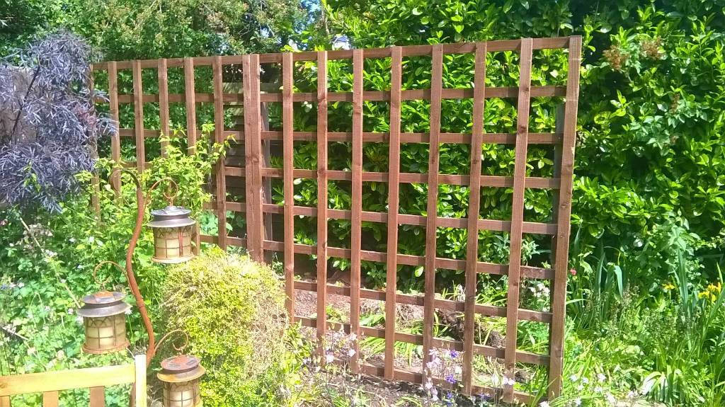"Trellis Fencing and Gardening Contrator Nottingham"